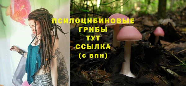 винт Покров