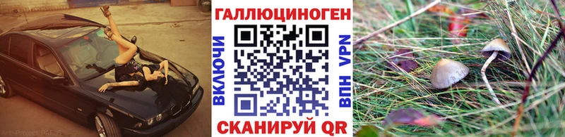 Псилоцибиновые грибы GOLDEN TEACHER  Нижняя Салда 